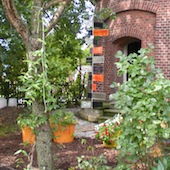 Foto: 